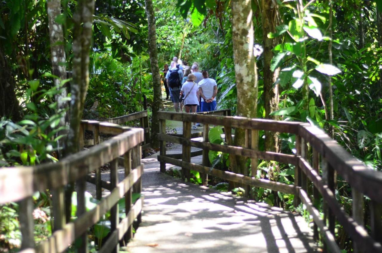 Veragua Rainforest Puerto Limon Buitenkant foto